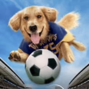 AIR BUD Movie Collection Coming to Disney+
