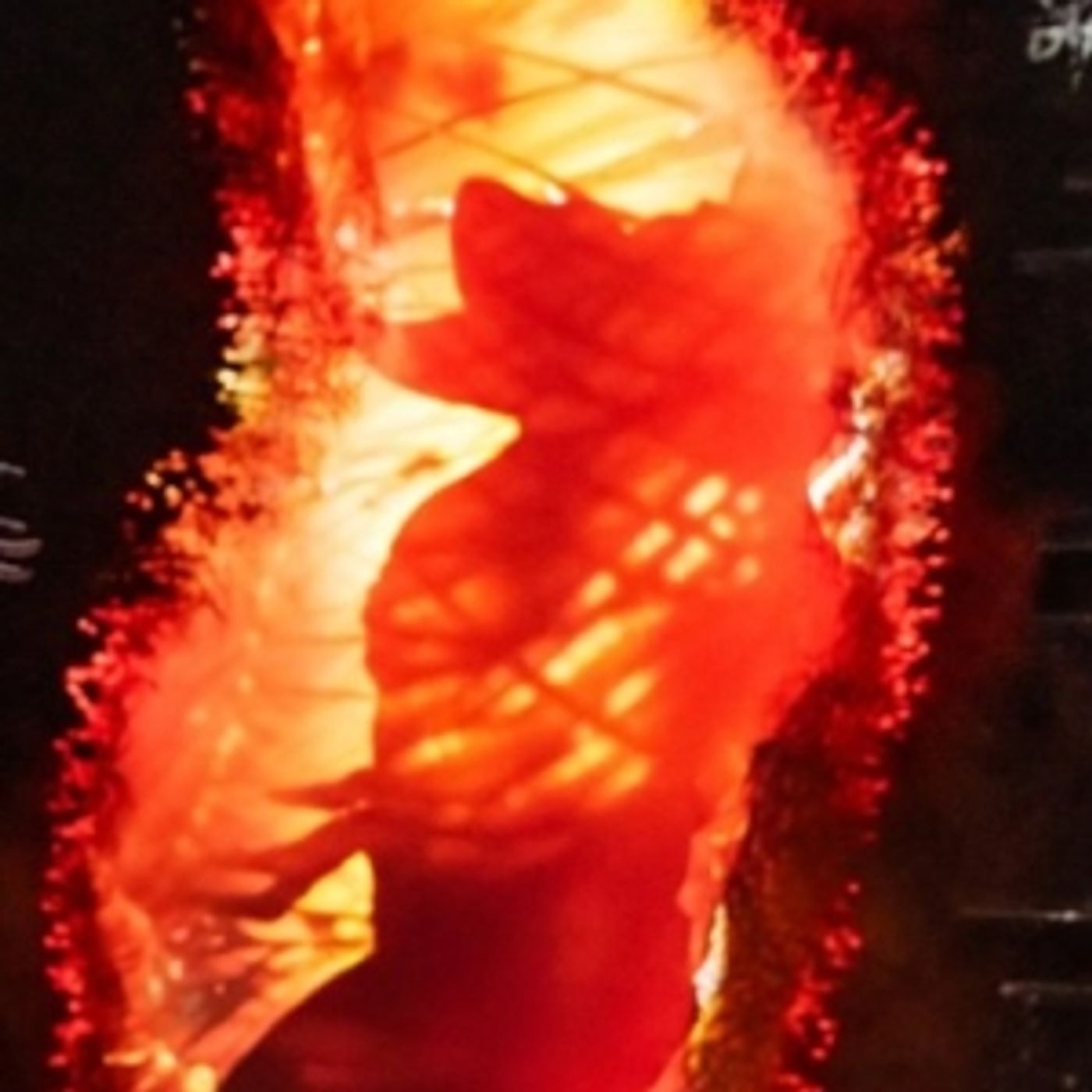 Wake Up With BroadwayWorld August 28, 2025  Image