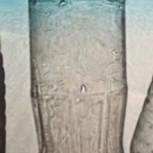 Scotiabank Contact Photography Festival 2020 Website Goes Live April 1