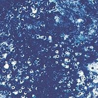 Leslie Sacks Gallery Presents Joe Goode | Environmental Impacts