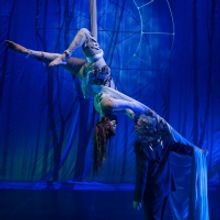 THE DREAM PROJECT 3.0, A North American Collaboration, Premieres At EdFringe