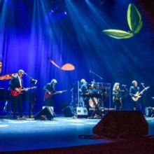 Feature: The 26th Annual Serenades of Life: Doctors in Concert Combines Music and Med