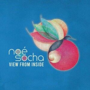 Noé Socha Releases Debut Solo Album VIEW FROM INSIDE