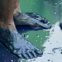 THE INDIGO PROJECT Comes to Toronto