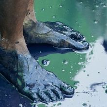 THE INDIGO PROJECT Comes to Toronto