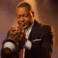 Summer Camargo, Giveton Gelin, Tatum Greenblatt & Anthony Hervey to Join Jazz at…