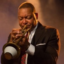 Summer Camargo, Giveton Gelin, Tatum Greenblatt & Anthony Hervey to Join Jazz at…