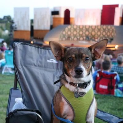 Shakespeare Dallas Extends Bark in the Park for THE MERRY WIVES OF WINDSOR and ALICE IN WONDERLAND