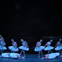 Review: SWAN LAKE, London Coliseum