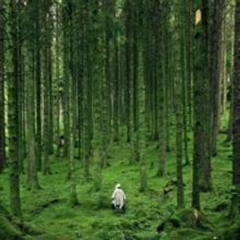 Review: ALL FALLS DOWN, VAULT Festival