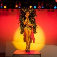 JOSEPHINE A Burlesque Cabaret Dream Play Announced at The Morris Museum