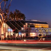 Laguna Art Museum Announces The 40th Annual California Cool Art Auction