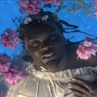 BWW Feature: An Interview with HAUI