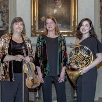 Musicians of the Springfield Symphony Orchestra Make Their Sevenars Concerts Debut…