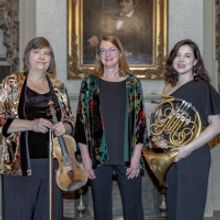 Musicians of the Springfield Symphony Orchestra Make Their Sevenars Concerts Debut in