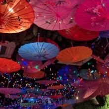 THE SKINNY “Wild At Heart” Beach Club in NYC