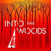 Review: Straight from Broadway, INTO THE WOODS at Belk Theater