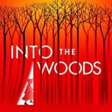 Review: Straight from Broadway, INTO THE WOODS at Belk Theater