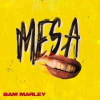 Bam Marley Releases Debut Project M.E.S.A. PART 1