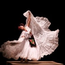 BALLET FOLKLÓRICO DE MEXICO DE AMALIA HERNÁNDEZ llega al Palacio de Bellas Artes