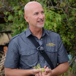Local Author, Chef and Italy Travel Specialist Robert Gaglio to Launch National Book…