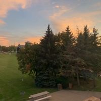 BWW Blog: Decisions, Decisions, and Nothing But Decisions!