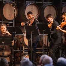 Coriole Music Festival Reveals 25th Anniversary Program