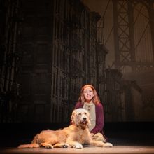 ANNIE Added To Broadway In Austin's 24-25 Season