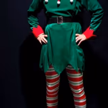 THE SANTALAND DIARIES Returns to The Goodman This Holiday Season