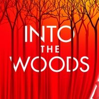 INTO THE WOODS Announces Digital Lottery