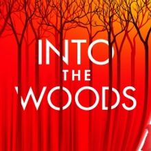 INTO THE WOODS Announces Digital Lottery