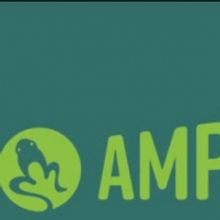 Amphibian Stage is Cancelling Programming for the Month of March