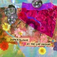 Misterwives Share 'SUPERBLOOM At The Live Dream'