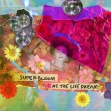 Misterwives Share 'SUPERBLOOM At The Live Dream'