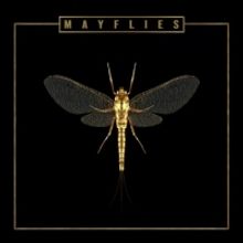 The Bergamot's New Album 'Mayflies' Out Now
