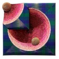 Federico Uribe Exhibition Comes To Cavalier Ebanks Galleries This Week