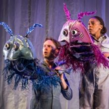 Lee Sunday Evans on RIDDLE OF THE TRILOBITES