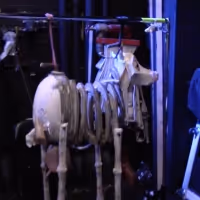 VLOG: Go Backstage At INTO THE WOODS With Kennedy Kennedy Kanagawa - Episode 3