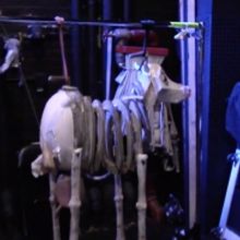 VLOG: Go Backstage At INTO THE WOODS With Kennedy Kennedy Kanagawa - Episode 3