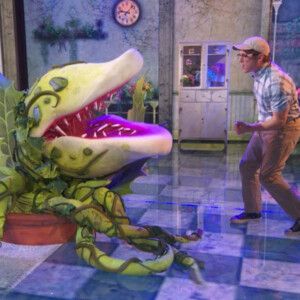 Video: Ethan Slater & LITTLE SHOP OF HORRORS Cast Perform 'Feed Me' on GMA