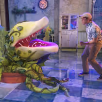 Video: Ethan Slater & LITTLE SHOP OF HORRORS Cast Perform 'Feed Me' on GMA