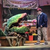 Chinatown-Set LITTLE SHOP OF HORRORS Extended at TheatreWorks Silicon Valley