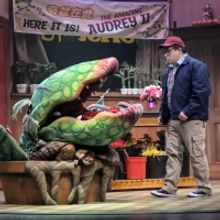 Chinatown-Set LITTLE SHOP OF HORRORS Extended at TheatreWorks Silicon Valley