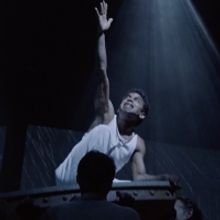 Video: Watch All New Clips From LIFE OF PI on Broadway Ahead of Tonight's Opening Nig