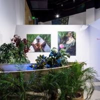August Wilson African American Cultural Center Launches Virtual Gallery Tours
