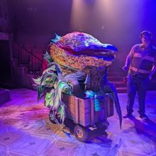 Interview: Justin Meyer on Directing LITTLE SHOP OF HORRORS at The Nocturne Theatre