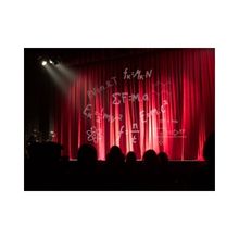 Student Blog: Audition Science