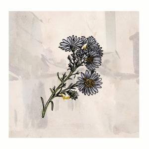 Neal Sharma & THE SAGEBRUSH Release GLIMMER Single