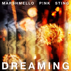 P!NK, Sting & Marshmello Team Up on New Single 'Dreaming'