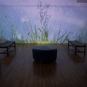 Morris Museum in Morristown-A Fascinating Destination for Culture and Art